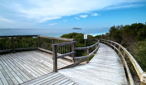 Tea Tree Picnic Area And Lookout - SA Accommodation 0