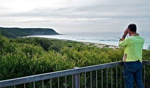 Tea Tree Picnic Area And Lookout - SA Accommodation 2