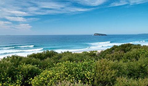Tea Tree Picnic Area And Lookout - SA Accommodation 3