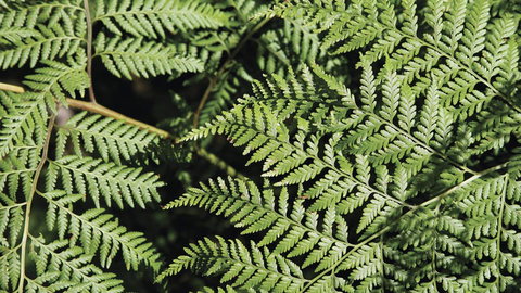 Glenrock State Conservation Area - SA Accommodation 3