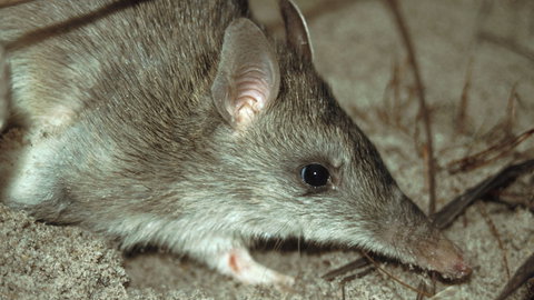 Glenrock State Conservation Area - SA Accommodation 2