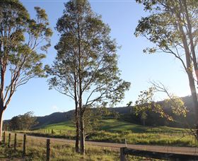 Tourist Drive 2 - Bucketts Way - SA Accommodation 1