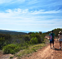 Moonee Beach trail - SA Accommodation