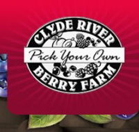 Clyde River Berry Farm - SA Accommodation