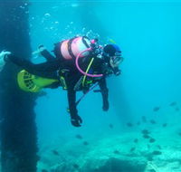 Shellharbour Scuba  Photography Centre - SA Accommodation