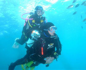 Shellharbour Scuba & Photography Centre - SA Accommodation 1