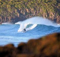 Killalea Beach - SA Accommodation