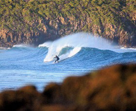 Killalea Beach - SA Accommodation 0