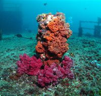 HMAS Brisbane Dive Site - SA Accommodation