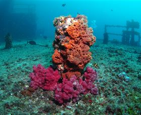 HMAS Brisbane Dive Site - SA Accommodation 0