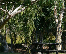 Dobies Bight NSW SA Accommodation