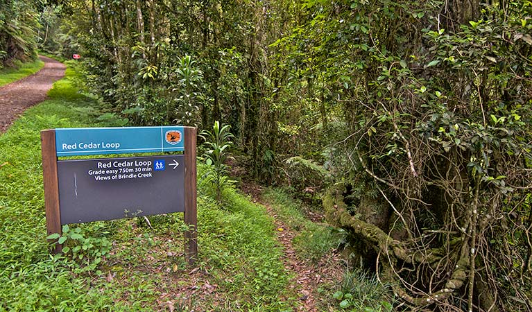Border Ranges NSW SA Accommodation