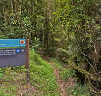 Red Cedar loop - SA Accommodation