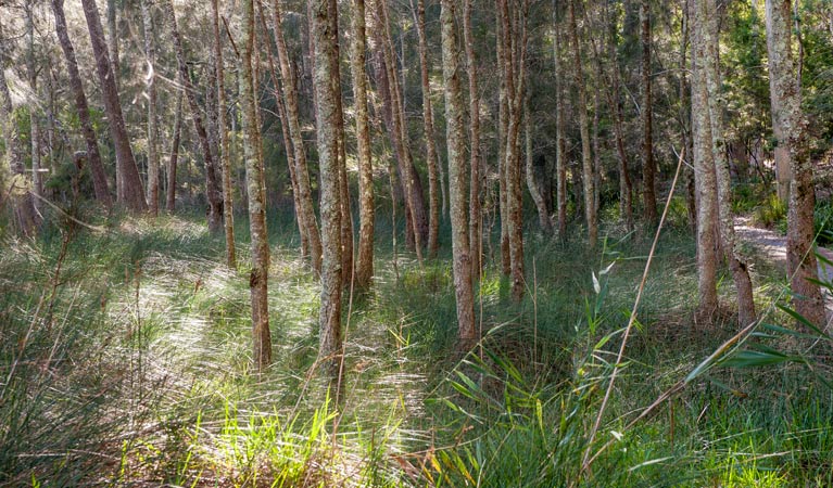 Bewong NSW SA Accommodation