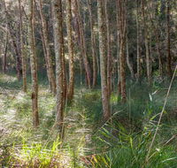 Anabranch loop track - SA Accommodation