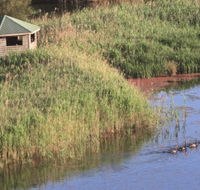 Spring Creek Bird Hide - SA Accommodation