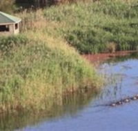 Spring Creek Wetlands Walk - SA Accommodation
