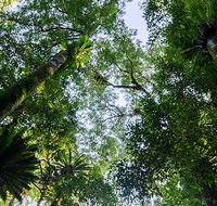 Botanic walk - SA Accommodation