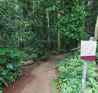 Walk with the Birds boardwalk - SA Accommodation