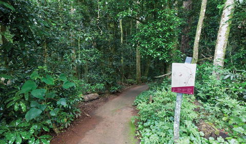 Walk With The Birds Boardwalk - SA Accommodation 0