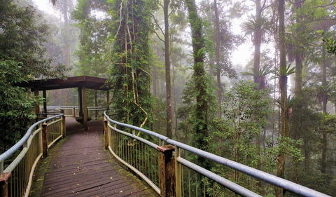 Walk With The Birds Boardwalk - SA Accommodation 3