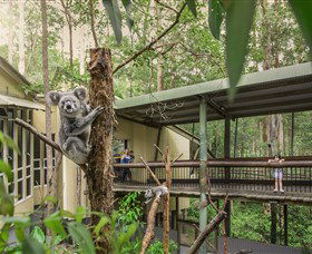 Daisy Hill Koala Centre - SA Accommodation 0