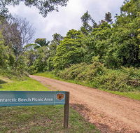 Antarctic Beech picnic area - SA Accommodation