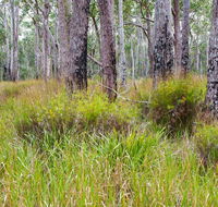 Narrawallee Inlet walking track - SA Accommodation