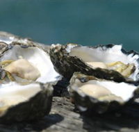 Jim Wilds Oyster Service - SA Accommodation