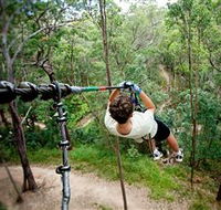 TreeTop Challenge - SA Accommodation