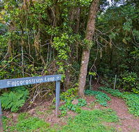 Falcorostrum loop walking track - SA Accommodation