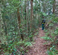 Blackbutt walking track - SA Accommodation