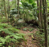 Durras Lake Discovery trail - SA Accommodation