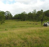 Numinbah Valley Adventure Trails - SA Accommodation