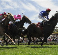 Moruya Racecourse - SA Accommodation