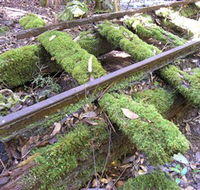 Wootton Historical Railway Walk - SA Accommodation