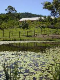 Mount Nathan Winery - SA Accommodation 2