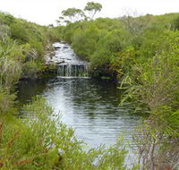 Booderee National Park Green Patch and Telegraph Creek Walking Tracks - SA Accommodation