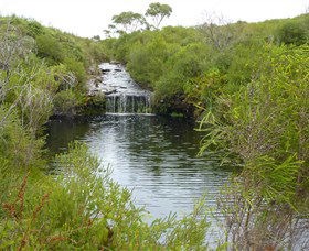 Booderee National Park: Green Patch And Telegraph Creek Walking Tracks - SA Accommodation 0