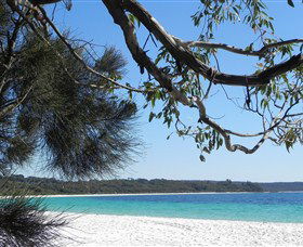Booderee National Park: Green Patch And Telegraph Creek Walking Tracks - SA Accommodation 6