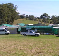 Tinonee Orchid Nursery - SA Accommodation