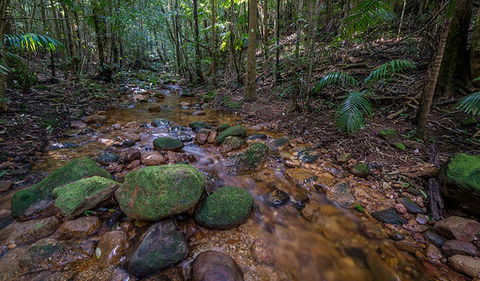 Starrs Creek Picnic Area - SA Accommodation 0