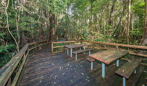 Starrs Creek Picnic Area - SA Accommodation 1