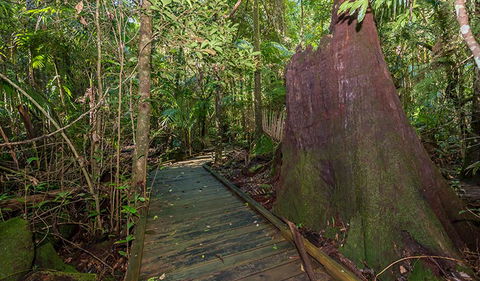 Starrs Creek Picnic Area - SA Accommodation 2