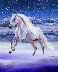 Australian Outback Spectacular: High Country Legends - SA Accommodation 1