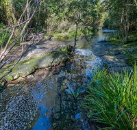 Dawson River walking track - SA Accommodation