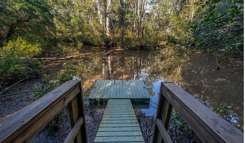 Brimbin Picnic Area - SA Accommodation 1