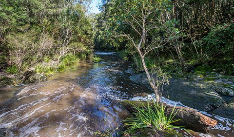 Brimbin Picnic Area - SA Accommodation 2