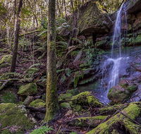 Coorabakh National Park - SA Accommodation