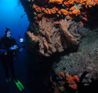 Gotham City Dive Site - SA Accommodation